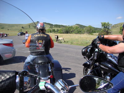 2013_Sturgis_084.JPG