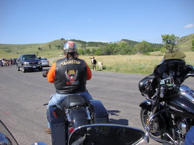 2013_Sturgis_087.JPG