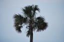 2019_MyrtleBeach_029.JPG