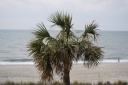 MyrtleBeach2023_0047.JPG